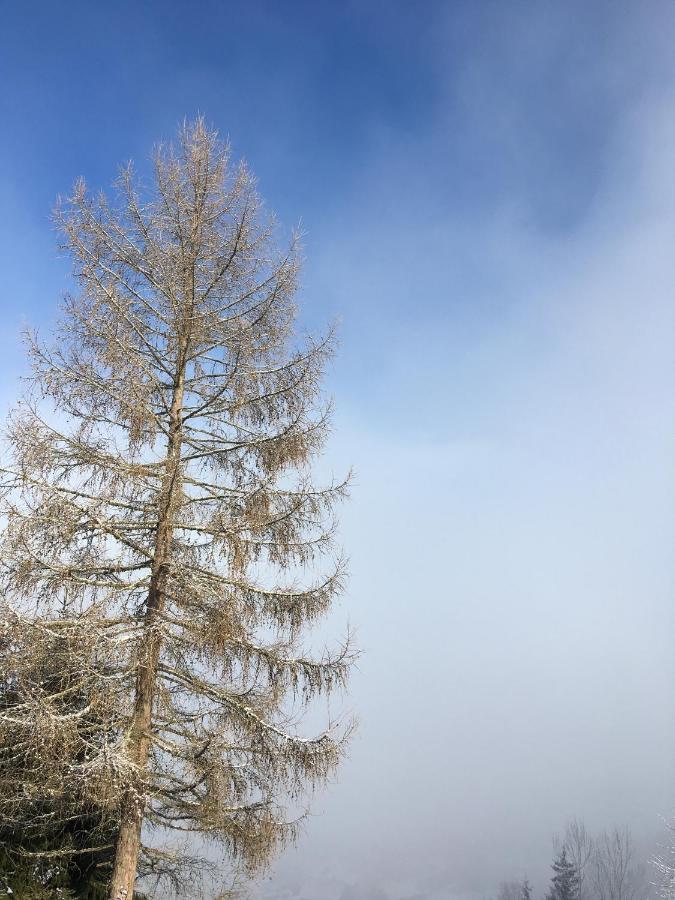 Grimming Appartement Schladming Sonnberg  Buitenkant foto